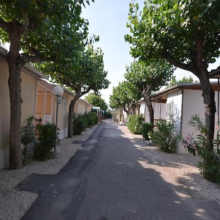Camping Johnny Marina Palmense Esterno foto