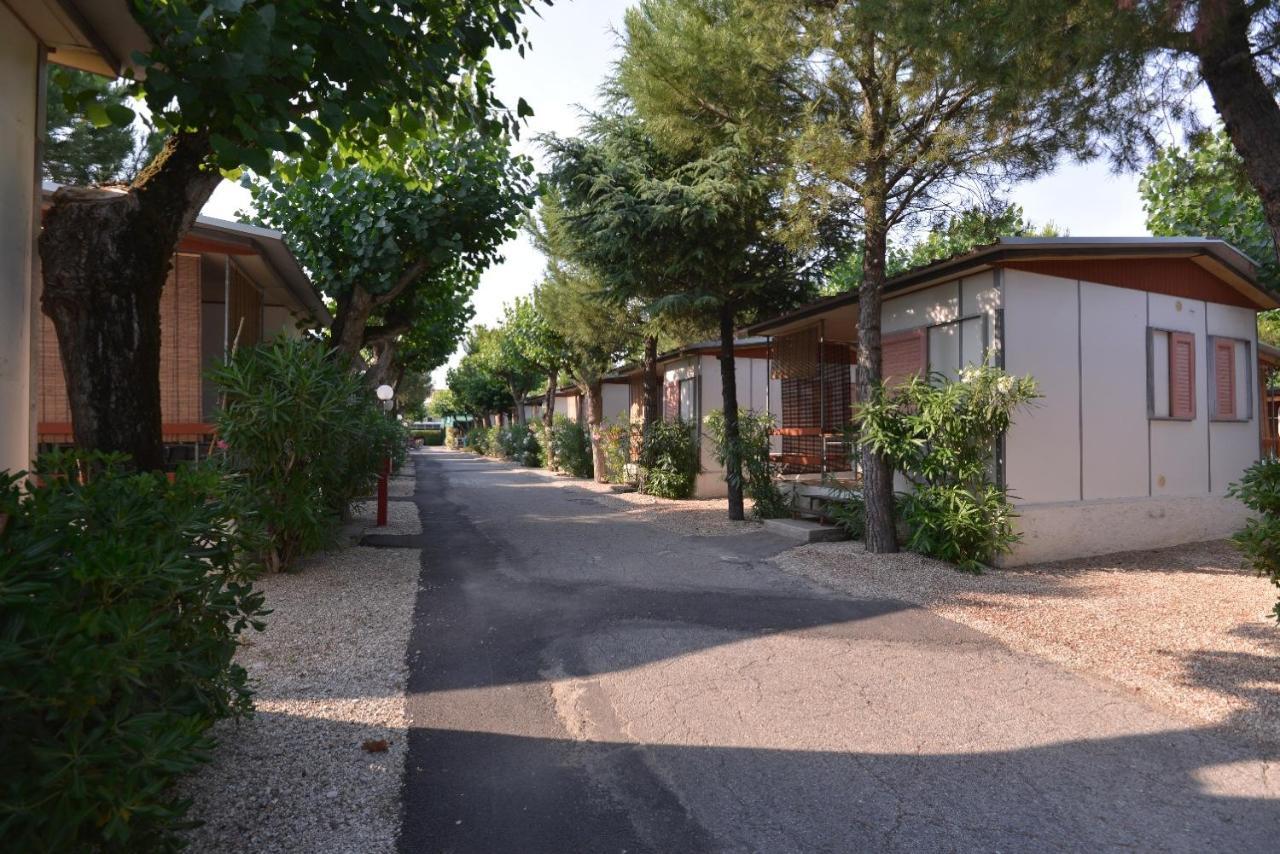 Camping Johnny Marina Palmense Esterno foto