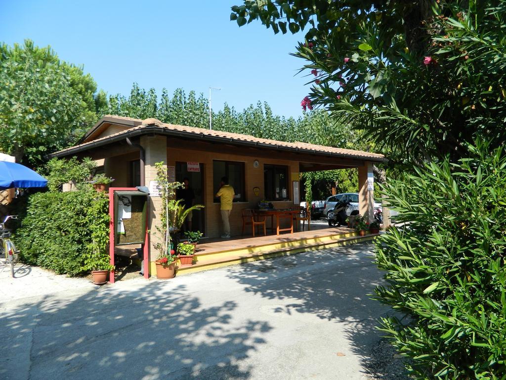 Camping Johnny Marina Palmense Esterno foto